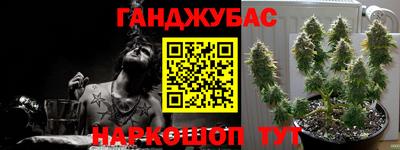 прущие грибы Можга