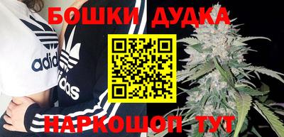 прущие грибы Можга